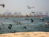 Tấn công khủng bố tàu chở dầu tại cảng Jeddah của Saudi Arabia