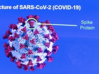 Kịch tính cuộc đua giữa vaccine COVID-19 và hàng nghìn biến thể SARS-CoV-2
