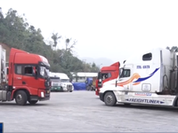 Lạng Sơn: Gần 500 xe nông sản đã được thông quan