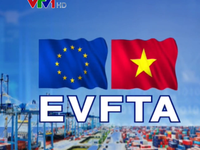 Lộ trình của Hiệp định FTA Việt Nam - Liên minh châu Âu