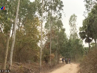 Hơn 7.000 ha rừng An Giang ở cấp cháy cực kỳ nguy hiểm