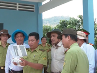 Kiểm tra tình hình khô hạn, phòng chống cháy rừng tại An Giang
