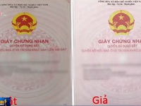 Cảnh báo thủ đoạn đánh tráo sổ đỏ ở Hà Nội