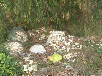 Đổ trộm rác thải độc hại gây ô nhiễm môi trường