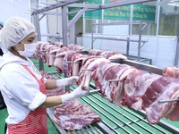 Hạ giá thịt lợn hỗ trợ phòng chống dịch