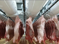Thủ tướng yêu cầu giảm giá thịt lợn