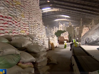 Một số DN hủy thầu gạo dự trữ quốc gia để xuất khẩu