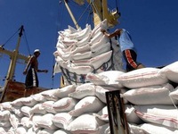 Doanh nghiệp xuất khẩu gạo kiến nghị xem xét lại việc mở tờ khai