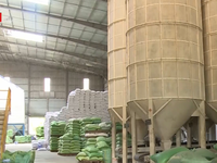 Doanh nghiệp xuất khẩu gạo kiến nghị phân bổ lại số lượng hạn ngạch