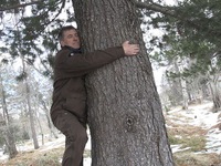 Iceland: Dịch vụ ôm cây để vơi nỗi buồn trong dịch COVID-19