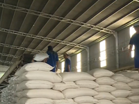 Bộ NN&PTNT kiến nghị tiếp tục cho xuất khẩu gạo nếp