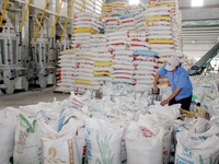 Thêm 38.000 tấn gạo được xuất khẩu trong hạn ngạch tháng 4