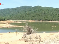 Nắng nóng kéo dài, hàng loạt hồ chứa ở Quảng Ngãi cạn kiệt nước