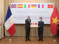 Việt Nam tặng các nước châu Âu 550.000 khẩu trang hỗ trợ chống dịch COVID-19