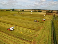 Việt Nam tham vọng lọt top 15 nước nông nghiệp phát triển nhất thế giới