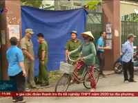 Thành phố Hồ Chí Minh: 13 học sinh thương vong vì bị cây đổ trong sân trường