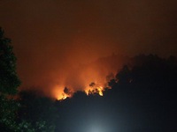 Đà Nẵng liên tục cảnh báo cháy rừng