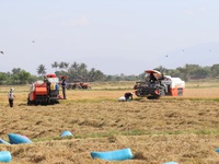 Hội Nông dân Việt Nam nỗ lực hiện thực hóa mục tiêu xây dựng nền nông nghiệp thịnh vượng