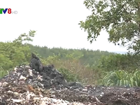 Kon Tum: Nhà máy rác gây ô nhiễm nghiêm trọng