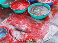 Bắt nhóm đối tượng đòi nợ 'khủng bố' bằng sơn, chất bẩn tại Nha Trang