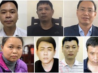 Vụ án công ty Nhật Cường: Những ai đã bị bắt, khởi tố?