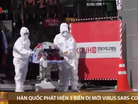 Hàn Quốc phát hiện 3 biến dị mới virus SARS-CoV-2