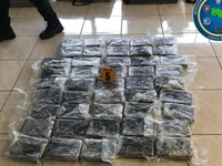 Phát hiện và thu giữ hơn 1 tấn cocaine giấu trong container chở dứa tại Costa Rica