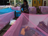 Campuchia xác nhận bùng phát dịch sốt Chikungunya tại 12 tỉnh, thành
