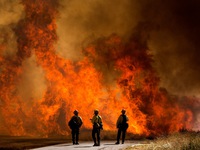 Cháy rừng lan rộng tại California (Mỹ), hàng nghìn người phải sơ tán