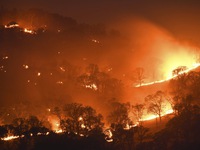 Liên tiếp xảy ra hàng loạt vụ cháy rừng, California (Mỹ) ban bố tình trạng khẩn cấp