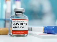 Italy thử nghiệm lâm sàng vaccine ngừa COVID-19 trên 90 tình nguyện viên