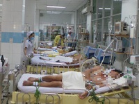 Bộ Y tế yêu cầu báo cáo khẩn về các ca bệnh ngộ độc độc tố botulinum sau khi ăn pate Minh Chay