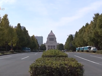 Đảng cầm quyền Nhật Bản cân nhắc chọn lãnh đạo kế nhiệm Thủ tướng