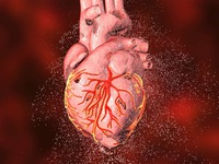 Virus SARS-CoV-2 có thể gây tổn thương nghiêm trọng tới cơ tim