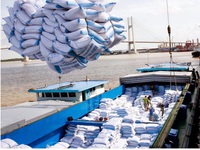 Giá gạo tăng nhưng sản lượng xuất khẩu lại giảm mạnh