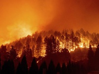 Cháy rừng tại California, 50.000 người phải sơ tán