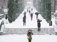 Tuyết rơi dày kỷ lục tại Tây Ban Nha