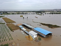 Mưa lớn gây lũ lụt nghiêm trọng ở miền Bắc Trung Quốc, ít nhất 15 người thiệt mạng