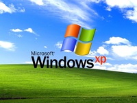 Windows XP bước sang tuổi 20, là một trong những hệ điều hành được sử dụng nhiều nhất