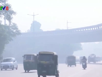 Ấn Độ: Thủ đô New Delhi chuẩn bị cho tình trạng khẩn cấp vì ô nhiễm không khí
