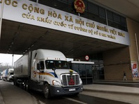 Hơn 14.000 tấn thanh long xuất sang Trung Quốc qua cửa khẩu Lào Cai