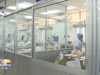 Việt Nam trở thành nước có tỷ lệ kháng kháng sinh cao trên thế giới