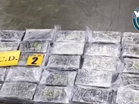 Costa Rica thu giữ hơn 3 tấn cocaine giấu trong container chở chuối