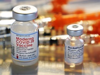 Xin cấp phép lưu hành vaccine COVID-19 của Moderna ở Nhật Bản
