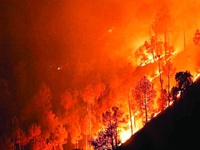 Cháy rừng tồi tệ nhất trong nhiều năm qua gây ô nhiễm không khí nghiêm trọng ở Nepal