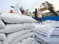 Xuất cấp hơn 4.000 tấn gạo hỗ trợ người dân khó khăn do dịch COVID-19