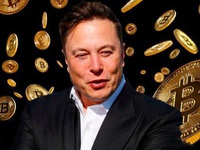 Elon Musk kéo Bitcoin lên gần 40.000 USD chỉ sau một dòng tweet