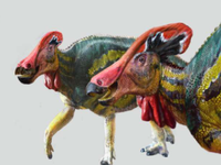 Phát hiện hóa thạch 72 triệu năm của khủng long mỏ vịt có mào dài hơn 1,3 m