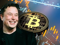 Elon Musk đang cố “cứu vãn” Bitcoin?