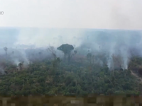 Diện tích rừng Amazon bị phá trong tháng 4 cao kỷ lục